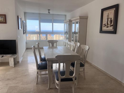 Apartment in Benidorm, Alicante
