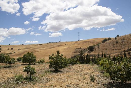 Загородный Дом, Casarabonela, Provincia de Málaga