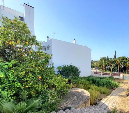 토지 / San Roque, Provincia de Cádiz