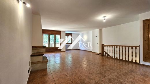 Apartment in La Cortinada, Ordino