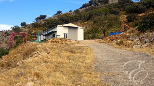 Country House in Alfarnatejo, Malaga