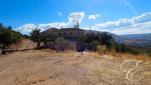 Country House in Loja, Granada