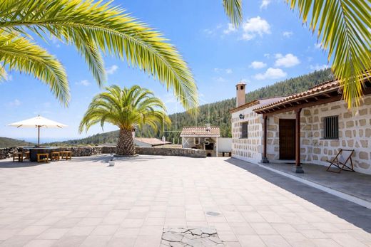 Gospodarstwo w Granadilla de Abona, Provincia de Santa Cruz de Tenerife