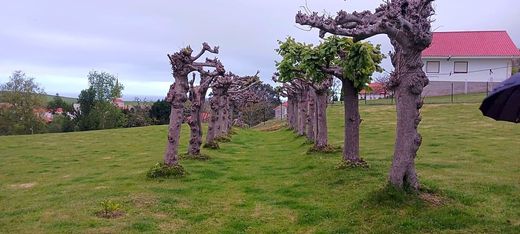 ‏קרקע ב  Alfoz de Lloredo, Provincia de Cantabria