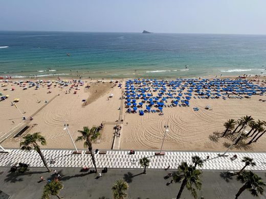 Apartment in Benidorm, Alicante