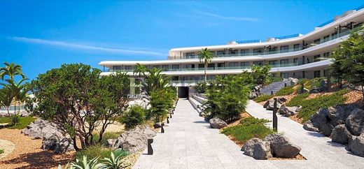 Costa Adeje, サンタ・クルス・デ・テネリフェのペントハウス