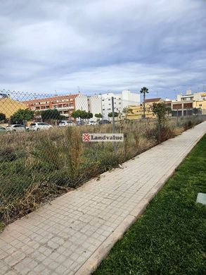 토지 / Canet d'En Berenguer, Província de València
