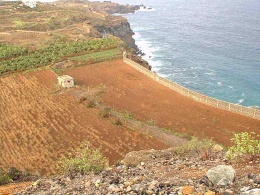 Gospodarstwo w La Guancha, Provincia de Santa Cruz de Tenerife