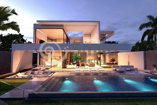 Costa Adeje, サンタ・クルス・デ・テネリフェのヴィラ