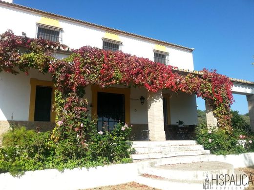 Country House in Lora del Río, Province of Seville