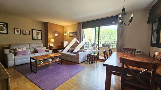 Apartment in La Massana