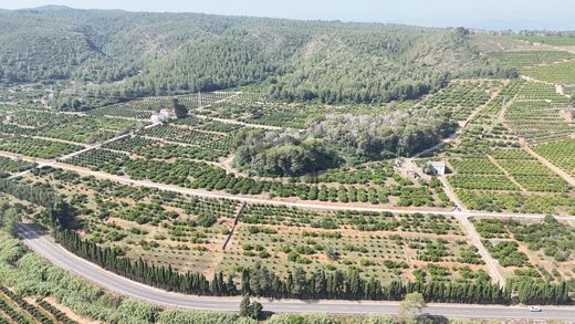 Casa de campo - Alzira, Valência