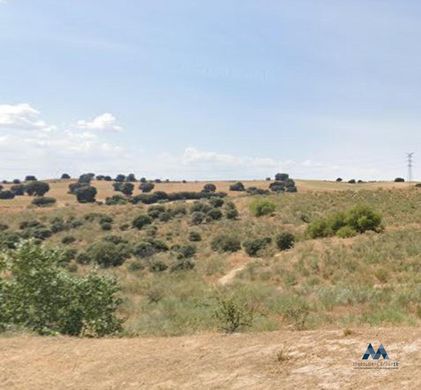 Land in Bargas, Province of Toledo