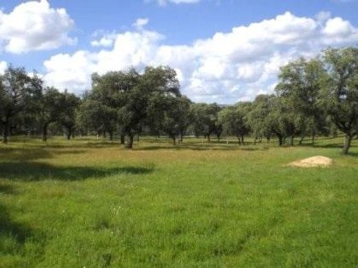 Land in Peñarroya-Pueblonuevo, Córdoba