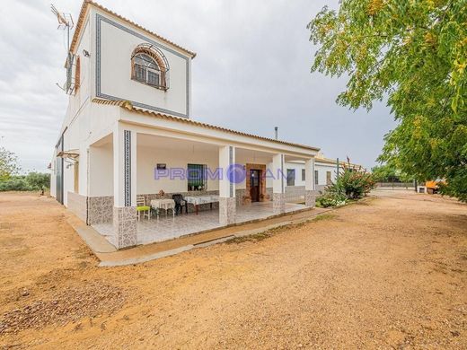Terreno a La Campana, Provincia di Siviglia