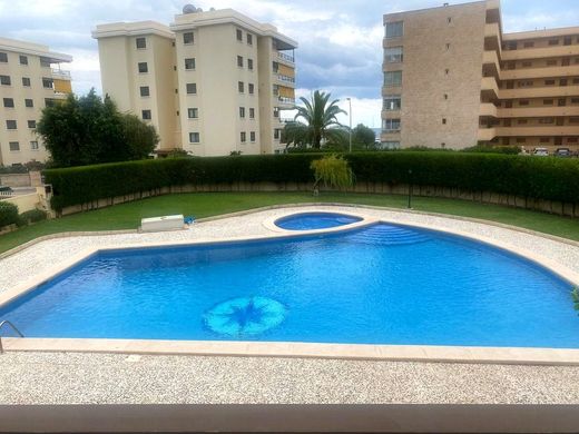 Portals Nous, Illes Balearsのアパートメント