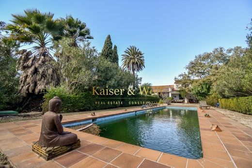 Country House in Elche, Alicante