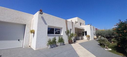 Villa La Algarrobina, Almería