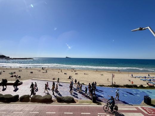 Apartment in Benidorm, Alicante