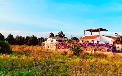 Villa a Oliva, Província de València