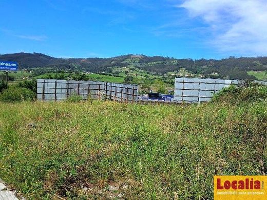 地皮  Villaviciosa, Province of Asturias