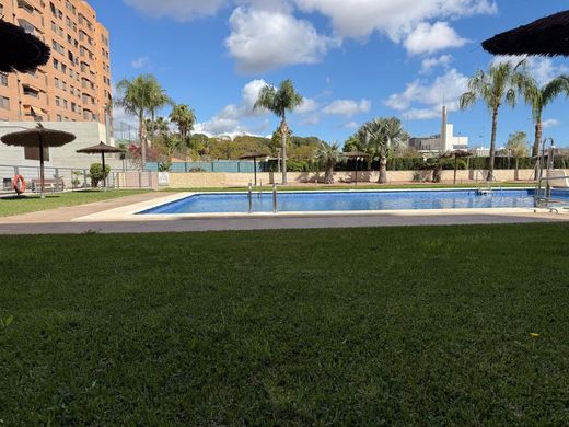 Daire Alicante, Provincia de Alicante