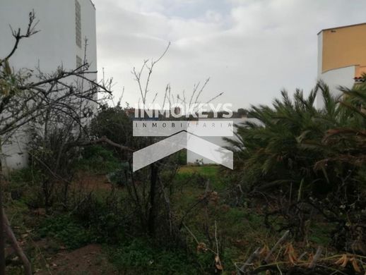 Santa Úrsula, サンタ・クルス・デ・テネリフェの土地