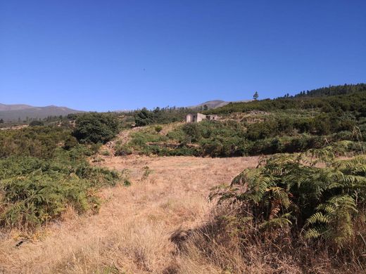 Terrain à Los Realejos, Province de Santa Cruz de Ténérife