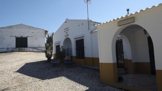 Land in Montellano, Province of Seville