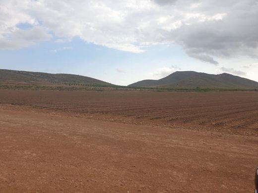 Terrain à Jumilla, Province de Murcie