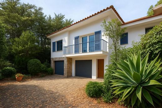 Вилла, El Rosario, Provincia de Santa Cruz de Tenerife