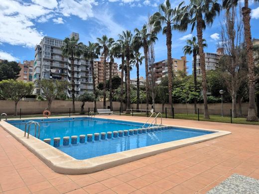Apartment in Alicante, Valencia