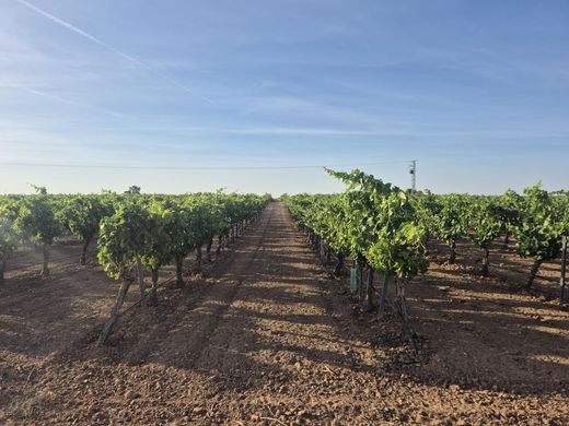 Land in Tomelloso, Ciudad Real