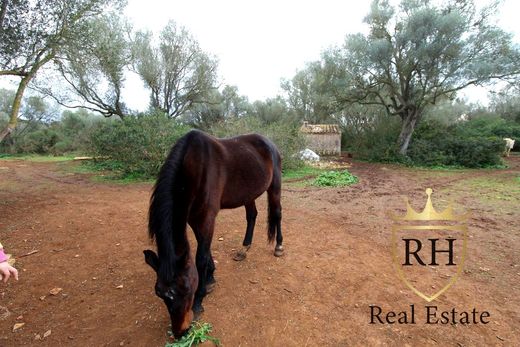 Terreno en Felanitx, Islas Baleares