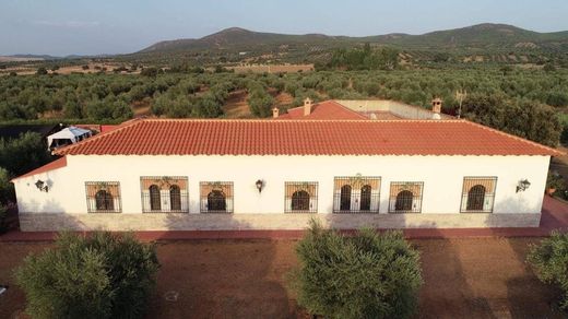 Villa in Piedrabuena, Ciudad Real