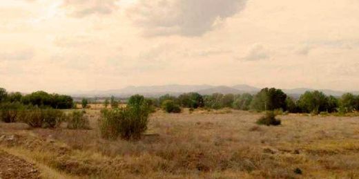 Land in Algete, Province of Madrid