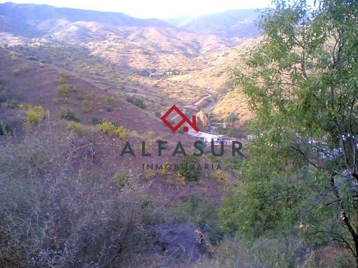 Terrain à Málaga, Malaga