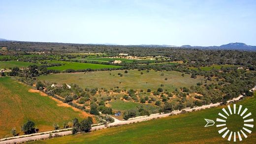 Campos, Illes Balearsのカントリーハウス