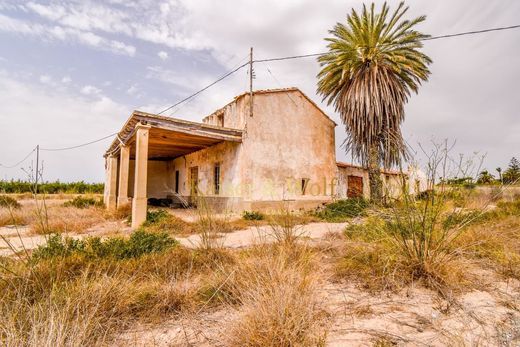 Propriété de campagne à Elx, Alicante