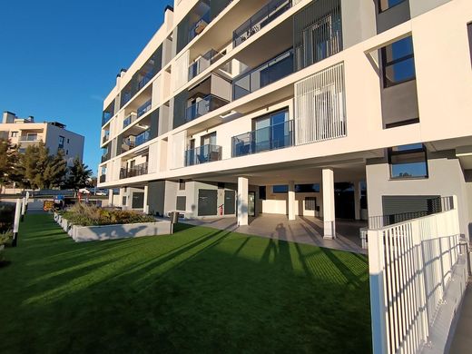 Daire Alicante, Provincia de Alicante