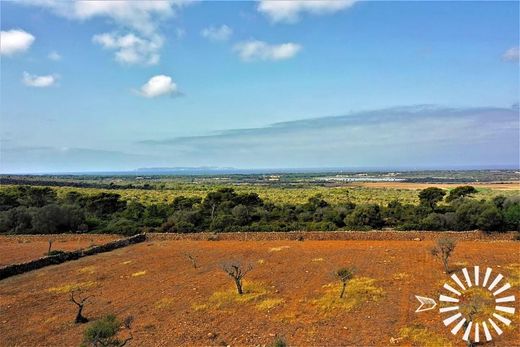 Villa in es Llombards, Balearen