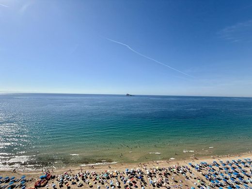 Apartment in Benidorm, Alicante
