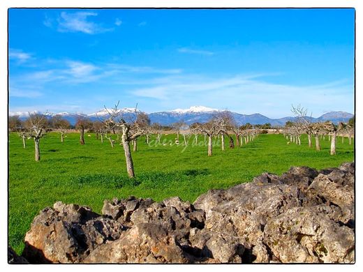 Köy evi Lloret de Vistalegre, Illes Balears