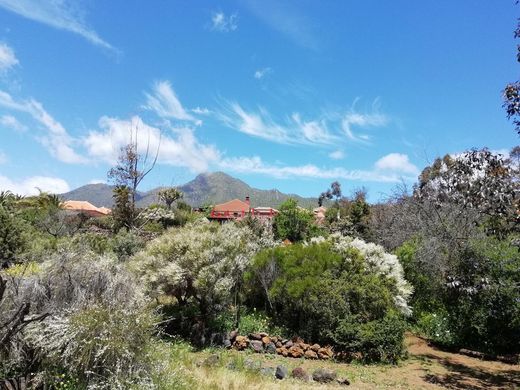 Villa El Paso, Provincia de Santa Cruz de Tenerife