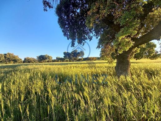 Casa de campo - Peñarroya-Pueblonuevo, Province of Córdoba