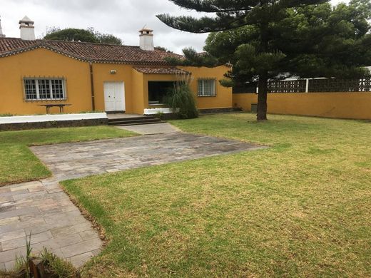 Villa La Laguna, Provincia de Santa Cruz de Tenerife