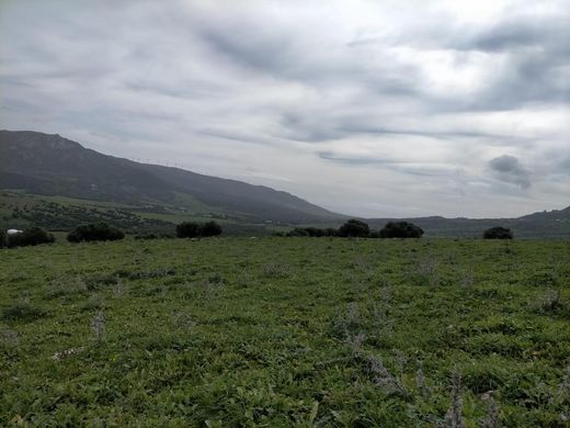 Propriété de campagne à Tarifa, Cadix