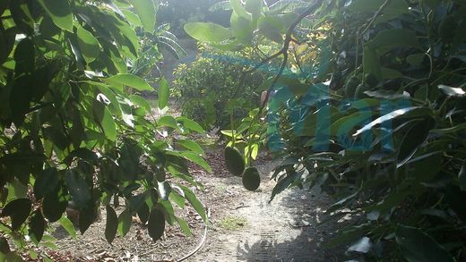 ‏קרקע ב  Almuñécar, Provincia de Granada