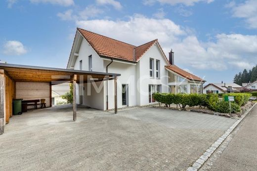Ruefenach AG Villen und Luxusimmobilien zu verkaufen Renommierte
