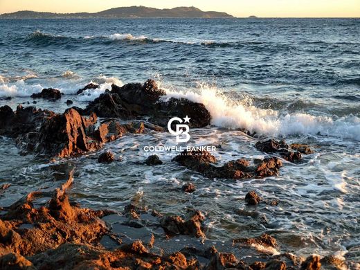 地皮  Carqueiranne, Var